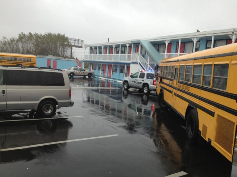 560846_10151224784394329_399752423_n