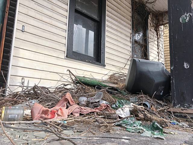 3575163_web1_vnd-harrisondemos3-022821